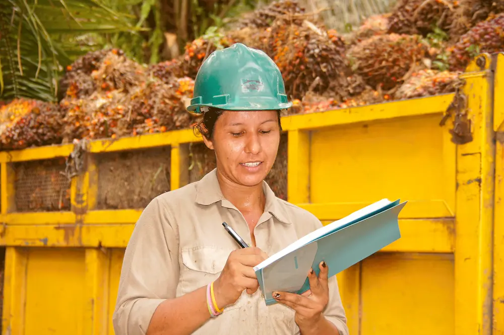 Creating traceability in the palm oil supply chain 