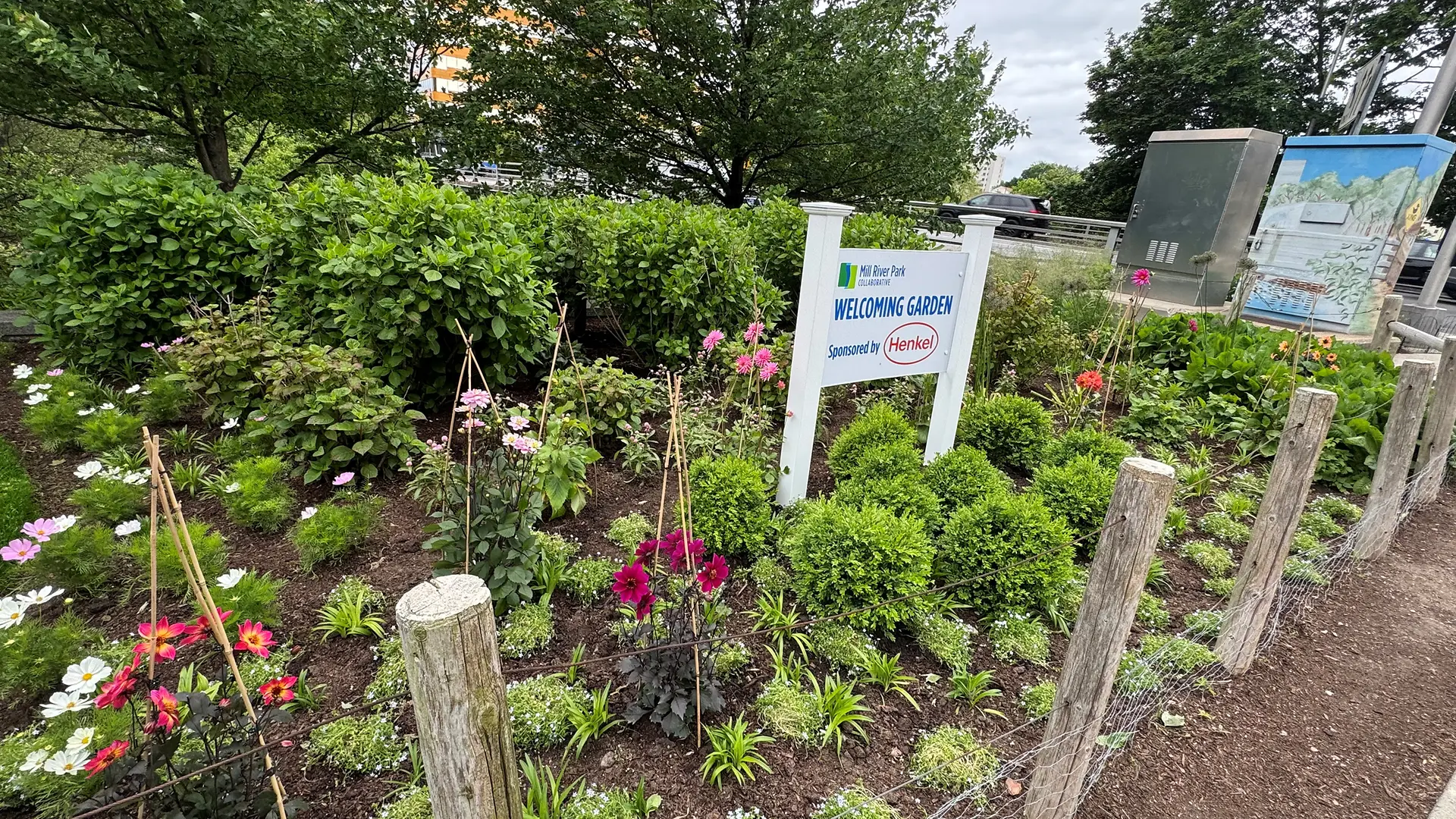 Mill River Park Collaborative