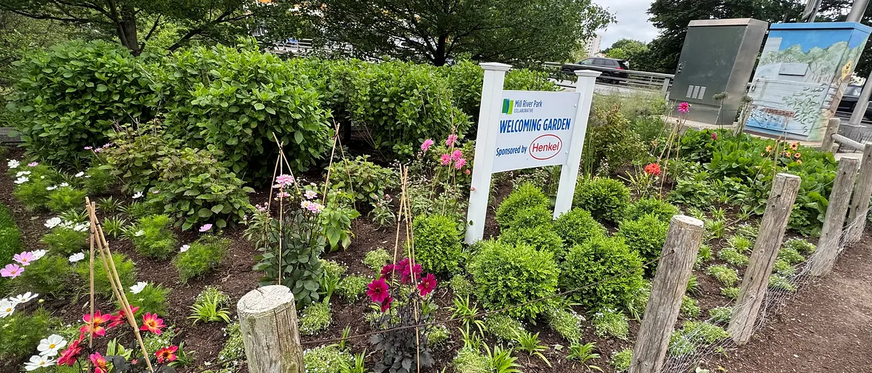 Mill River Park Collaborative